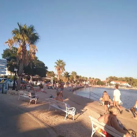 Apartman Dospalmeras