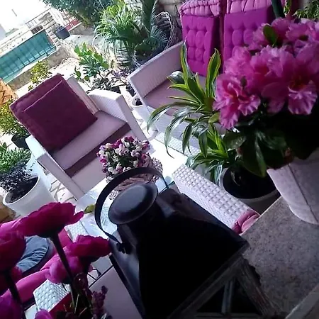 Apartment Dospalmeras
