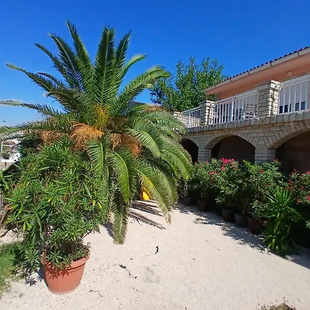 Apartament Dospalmeras *