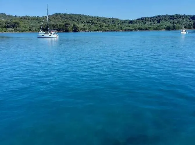 Dospalmeras Apartment Vir