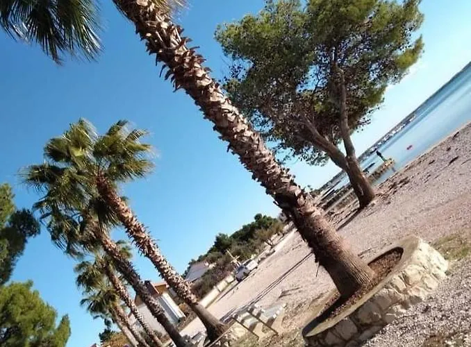 Apartament Dospalmeras Vir