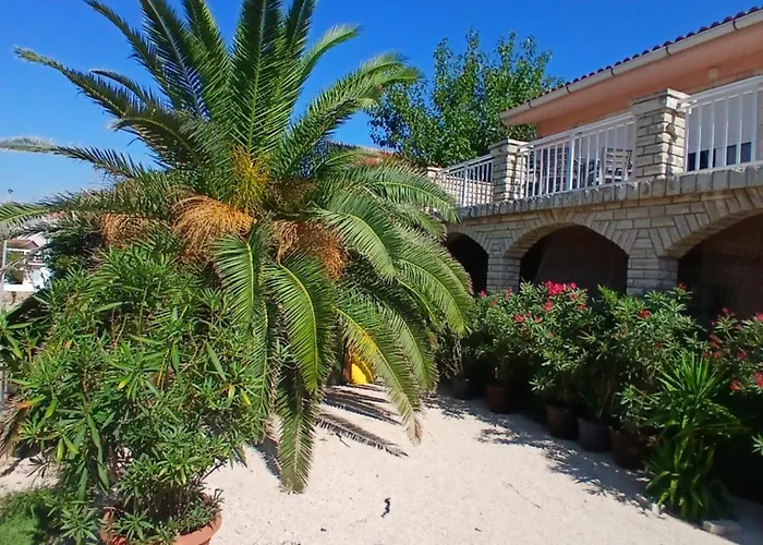 Apartament Dospalmeras *