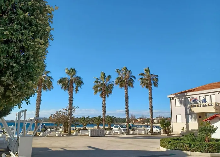 Appartement Dospalmeras Vir